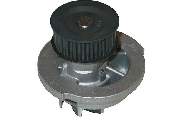 Kavo Parts Waterpomp DW-1008