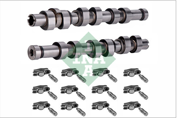 INA Nokkenasset 428 0058 30