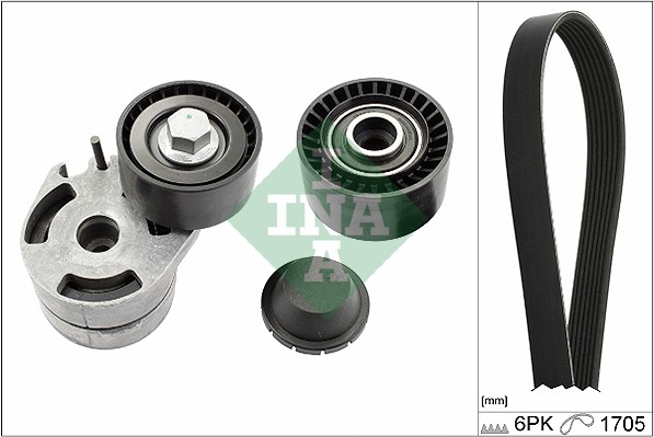 INA Poly V-riemen kit 529 0012 10