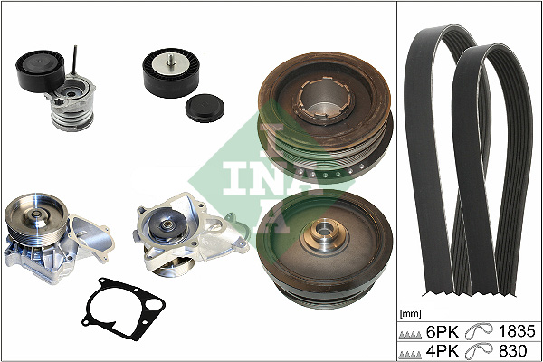 INA Poly V-riemen kit inclusief waterpomp 529 0020 30