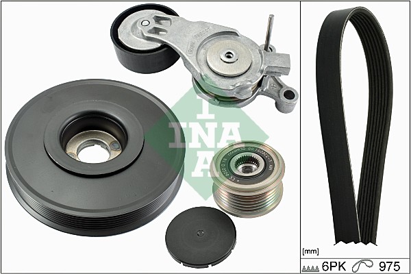 INA Poly V-riemen kit 529 0066 10