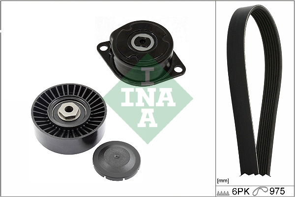 INA Poly V-riemen kit 529 0089 10