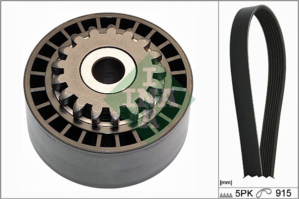 INA Poly V-riemen kit 529 0177 10