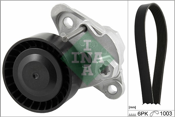 INA Poly V-riemen kit 529 0208 10