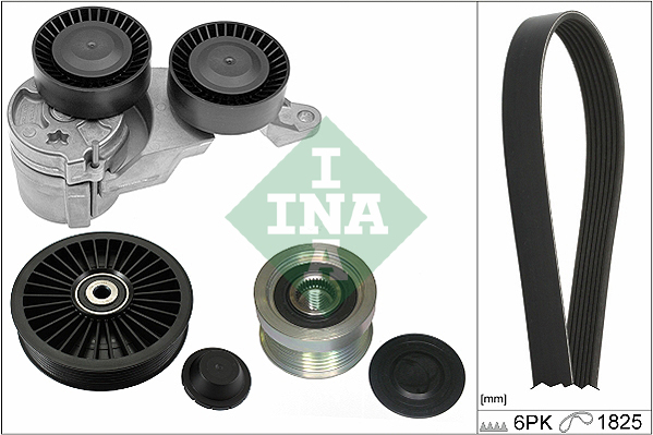 INA Poly V-riemen kit 529 0289 10