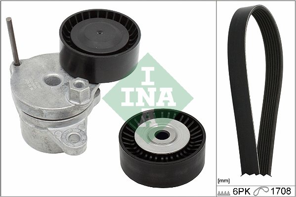 INA Poly V-riemen kit 529 0310 10