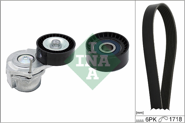 INA Poly V-riemen kit 529 0312 10