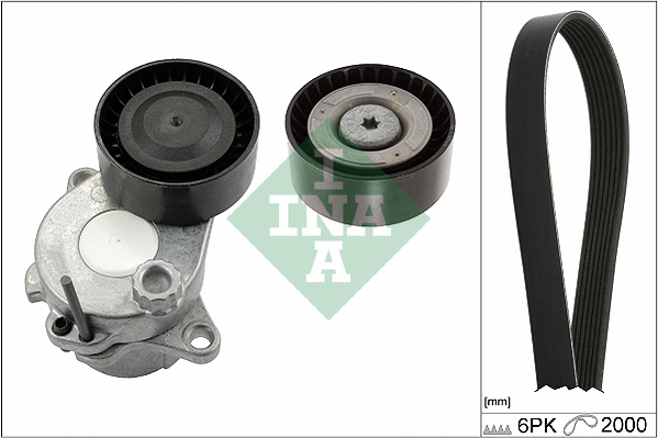 INA Poly V-riemen kit 529 0343 10