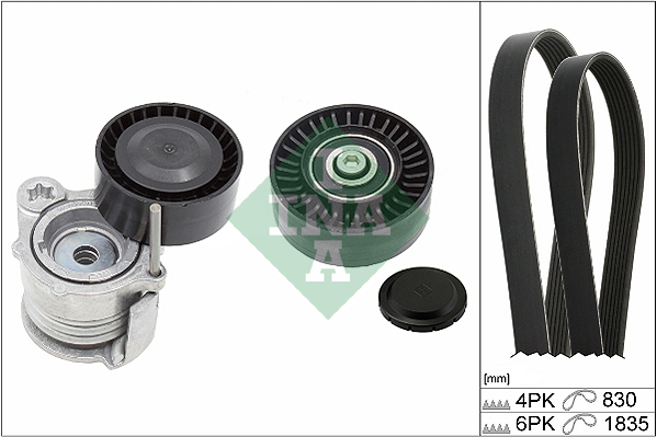 INA Poly V-riemen kit 529 0359 10