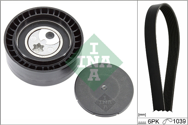 INA Poly V-riemen kit 529 0411 10