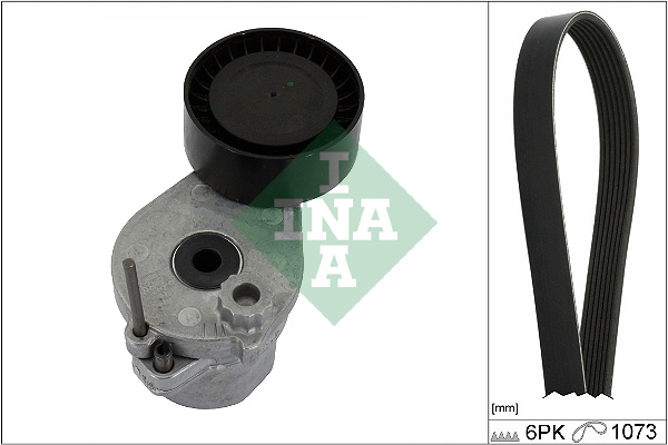 INA Poly V-riemen kit 529 0530 10