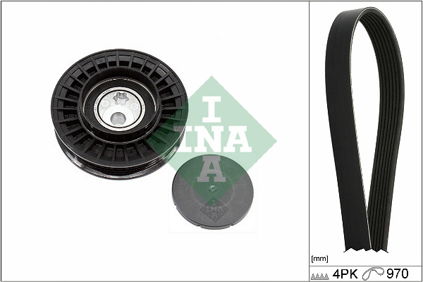 INA Poly V-riem set 529 0579 10