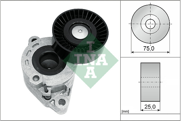 INA Spanner poly V-riem 534 0721 10