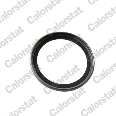 Calorstat By Vernet Thermostaat pakking J239