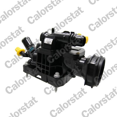 Calorstat By Vernet Thermostaat, koelvloeistof TE7374.92J