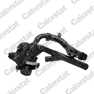 Calorstat By Vernet Thermostaat, koelvloeistof TE7378.97J