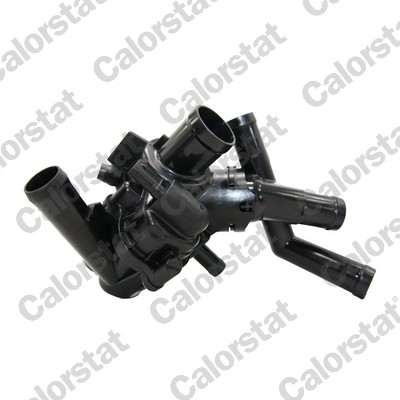 Calorstat By Vernet Thermostaat, koelvloeistof TE7379.97J