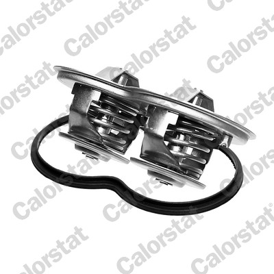 Calorstat By Vernet Thermostaat, koelvloeistof TH7290.80.87J