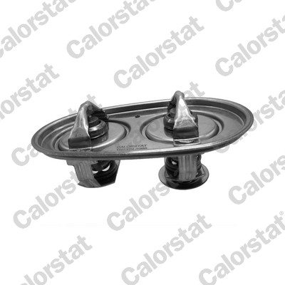 Calorstat By Vernet Thermostaat, koelvloeistof TH7379.89.96J