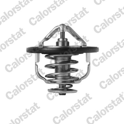 Calorstat By Vernet Thermostaat TH7399.85J