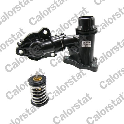 Calorstat By Vernet Thermostaat, koelvloeistof THK7504.85J