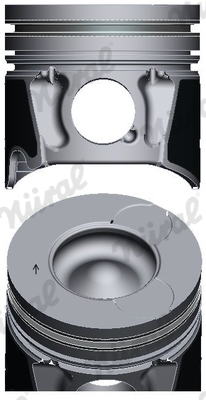 Nüral Zuiger 87-443100-00