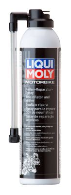 Liqui Moly Montagepasta 1579
