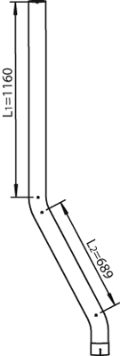 Dinex Uitlaatpijp 28730