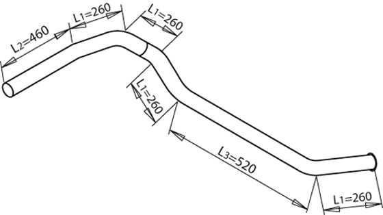 Dinex Uitlaatpijp 50710