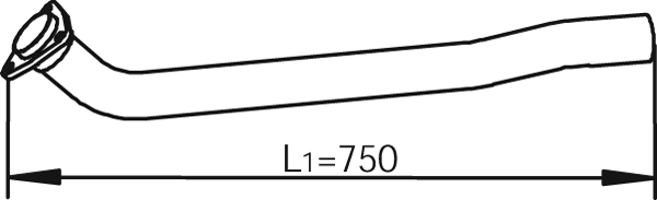 Dinex Uitlaatpijp 62117