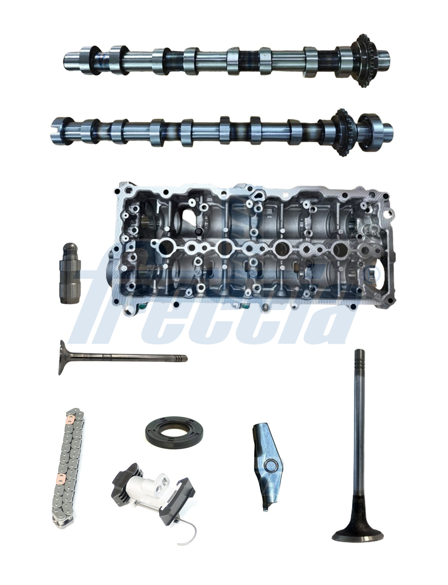 Freccia Nokkenasset CM05-2441