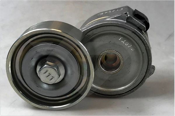 Hutchinson Spanrol (poly) V-riem TK067