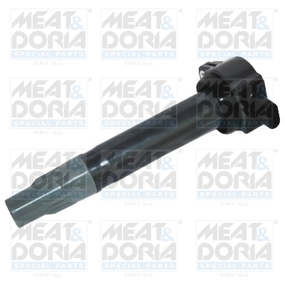 Meat Doria Bobine 10624