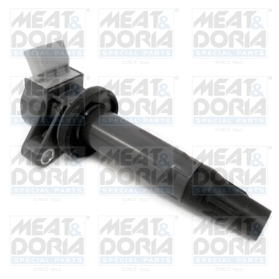 Meat Doria Bobine 10780