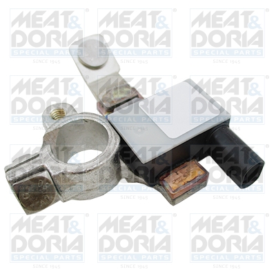 Meat Doria Accumanagement sensor 241003