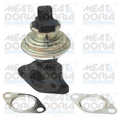 Meat Doria EGR-klep 88036