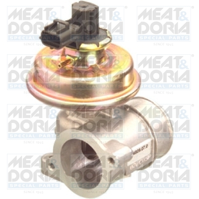 Meat Doria EGR-klep 88041