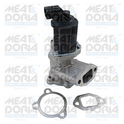 Meat Doria EGR-klep 88043