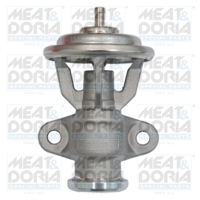 Meat Doria EGR-klep 88066