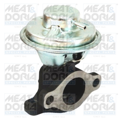 Meat Doria EGR-klep 88134