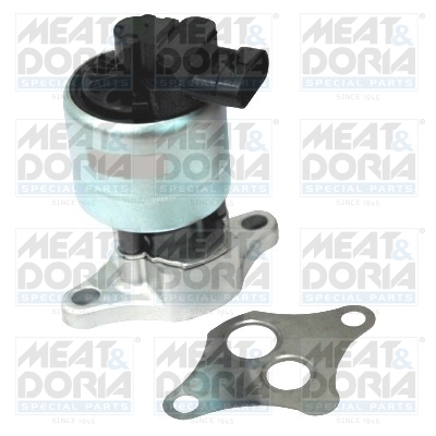 Meat Doria EGR-klep 88161