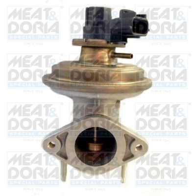 Meat Doria EGR-klep 88355