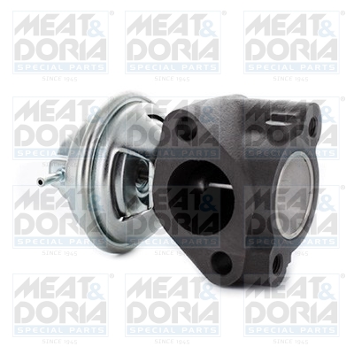 Meat Doria EGR-klep 88738