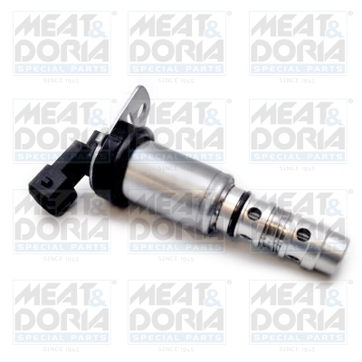 Meat Doria Nokkenasregelklep 91566