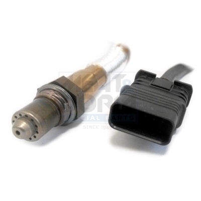 Meat Doria Lambda-sonde 81845