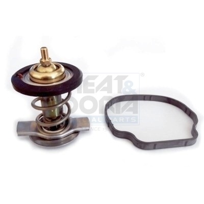 Meat Doria Thermostaat 92837