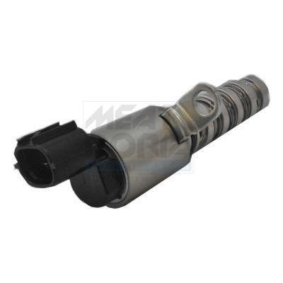 Meat Doria Nokkenasregelklep 91536