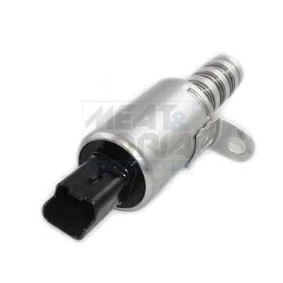 Meat Doria Nokkenasregelklep 91538