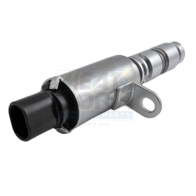 Meat Doria Nokkenasregelklep 91545