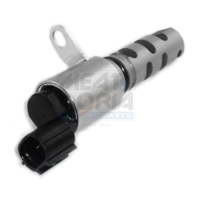 Meat Doria Nokkenasregelklep 91550